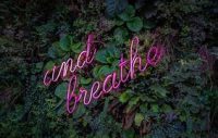 Breathe1-e1644858746274.jpg